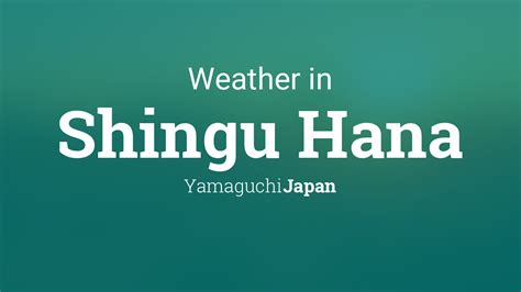 天気予報 新宮市 - 空の下で語る未来の風景